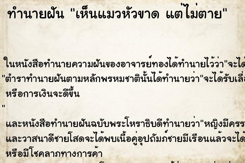 ทำนายฝัน เห็นแมวหัวขาด แต่ไม่ตาย ตำราโบราณ แม่นที่สุดในโลก